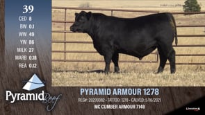 Lot #39 - PYRAMID ARMOUR 1278