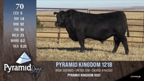 Lot #70 - PYRAMID KINGDOM 1218