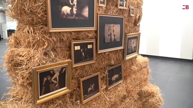 Expo "ATENEA" - J.J Guisado (Festival "NEGATIVO"