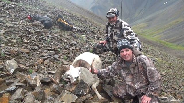 Darcy's Alaska Dall Sheep Hunt