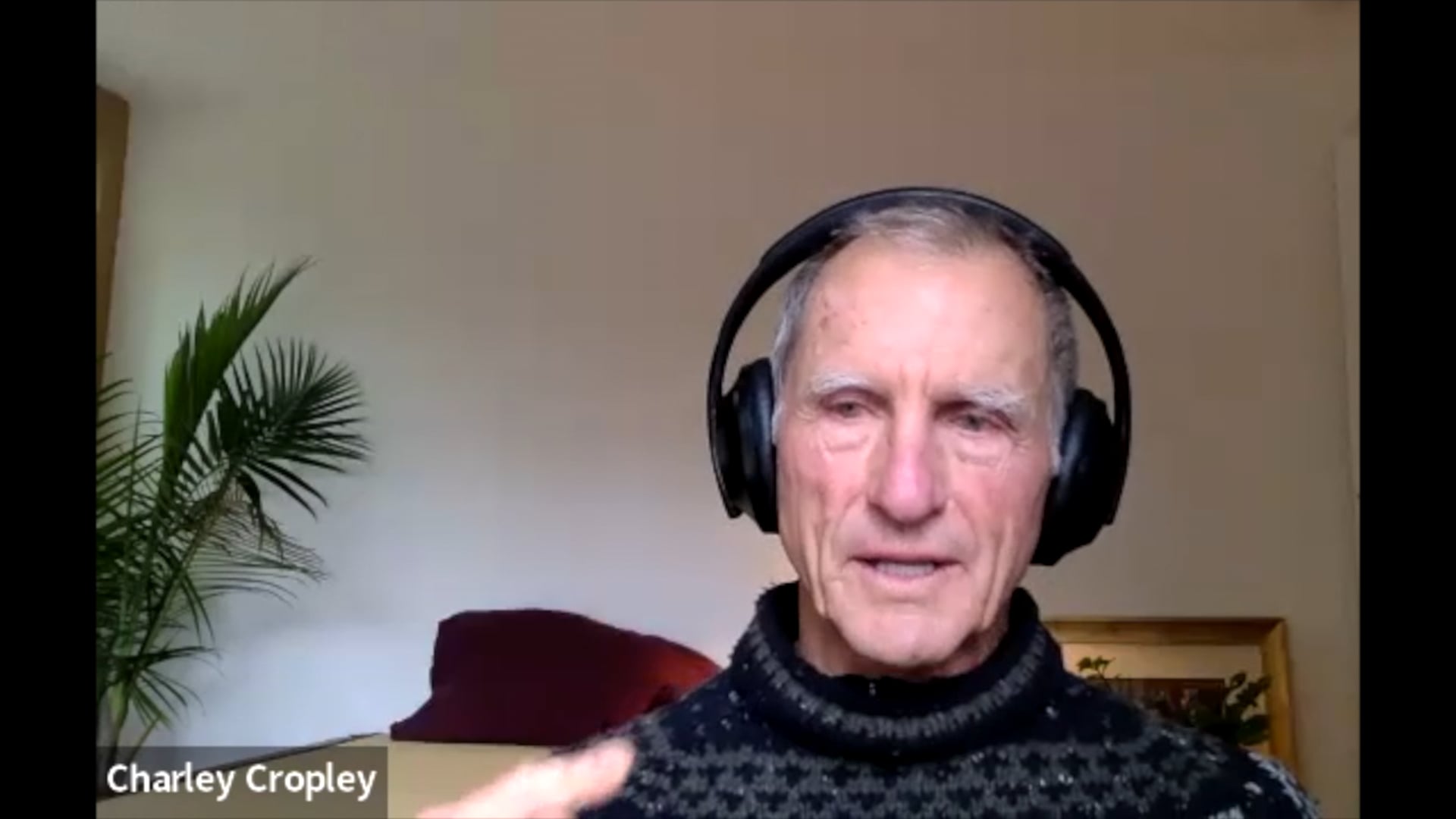 Webinar Snaplet- Showing Up with Kindness