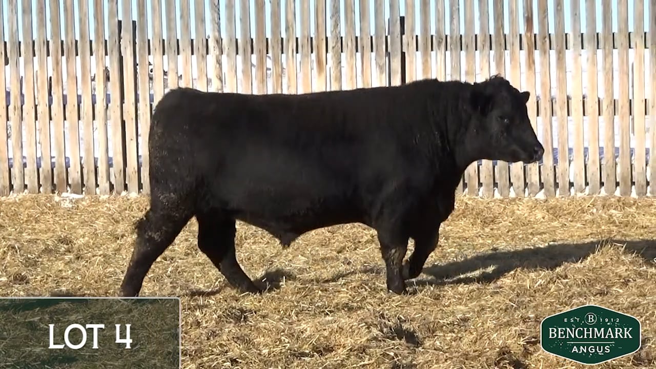 benchmark_04.mp4 on Vimeo