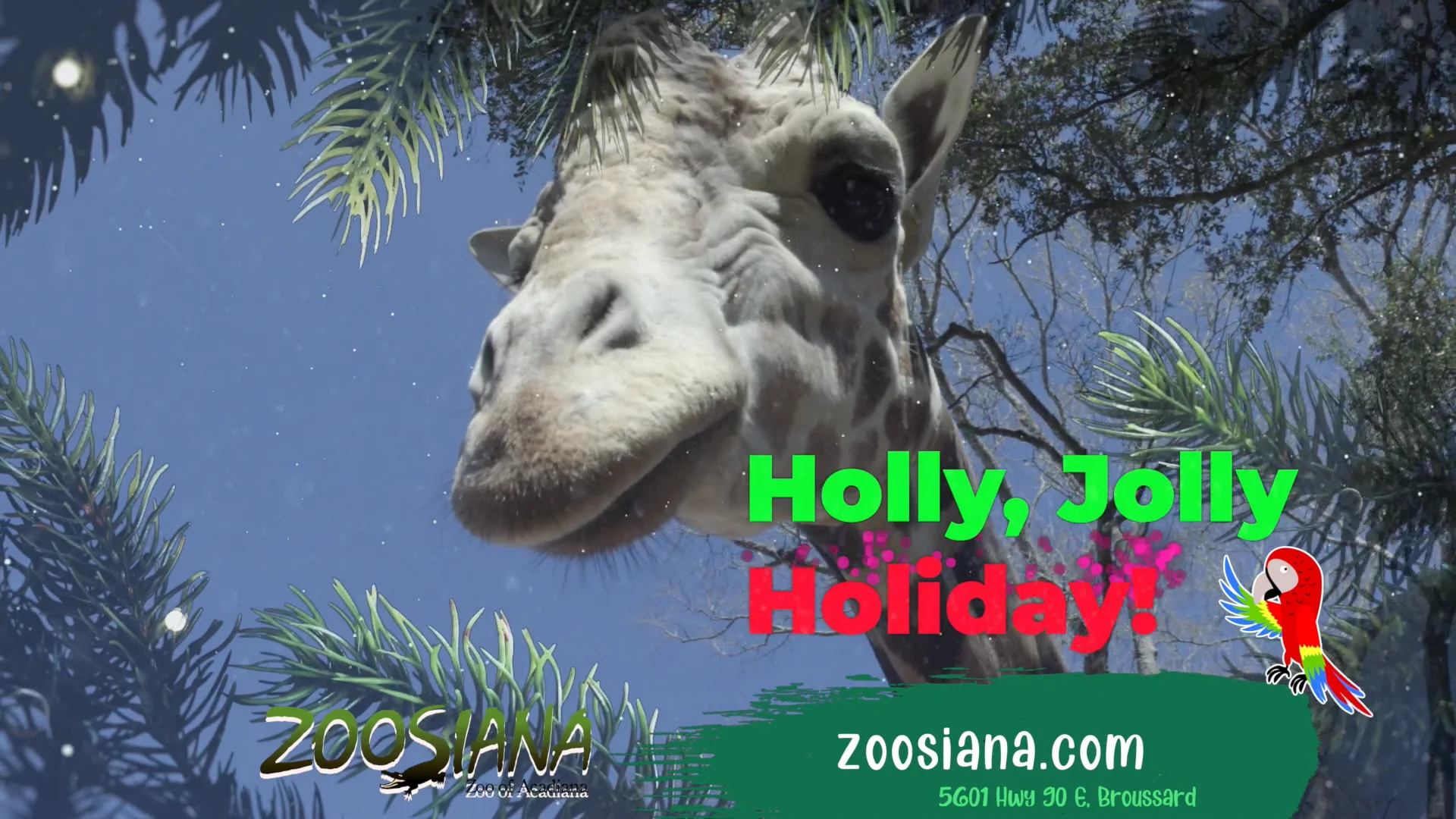 Zoosiana_Holiday 30_1122.mov on Vimeo