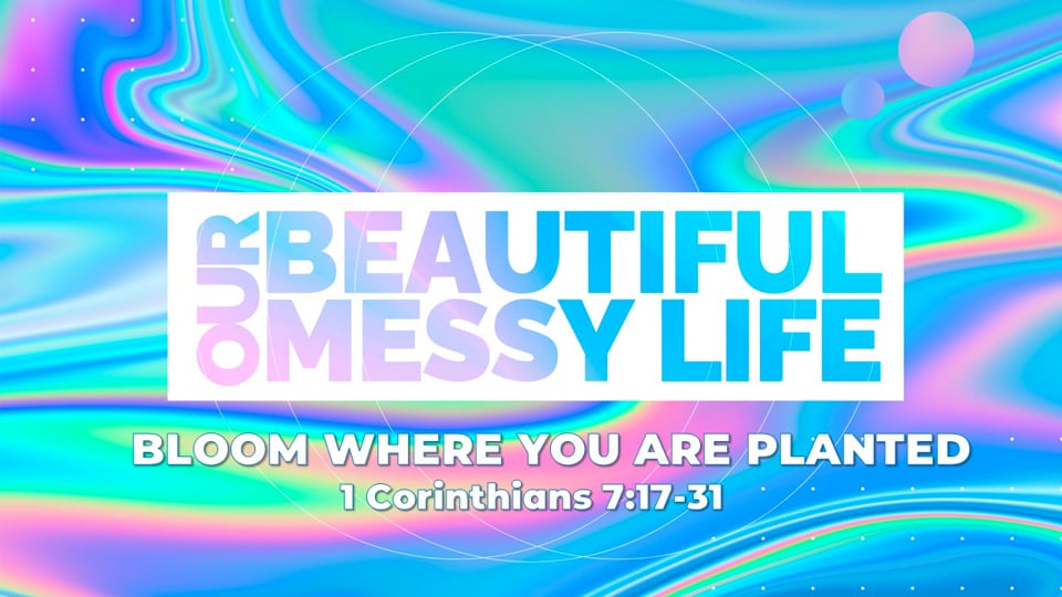 Bloom Where You Are Planted (1 Corinthians 7:17-31)
