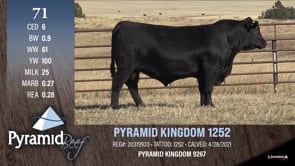 Lot #71 - PYRAMID KINGDOM 1252