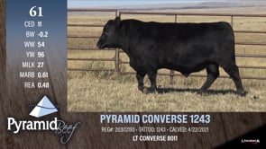 Lot #61 - PYRAMID CONVERSE 1243
