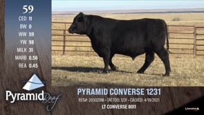 Lot #59 - PYRAMID CONVERSE 1231