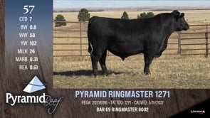 Lot #57 - PYRAMID RINGMASTER 1271