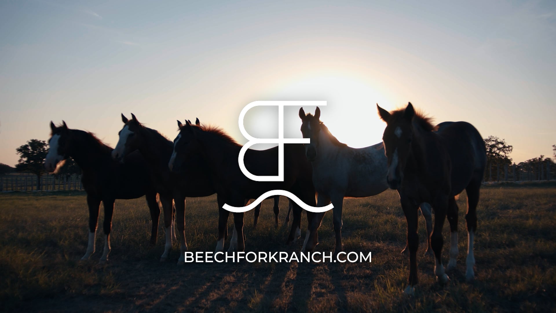 Beechfork Ranch 2022 NCHA Futurity Video Sponsor 4 on Vimeo