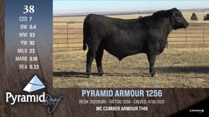 Lot #38 - PYRAMID ARMOUR 1256