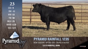 Lot #23 - PYRAMID RAINFALL 1235