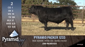 Lot #2 - PYRAMID PACKER 1233