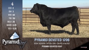 Lot #4 - PYRAMID DEVOTED 1206