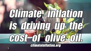 2022, Climate Inflation is Driving Up the Cost of Olive Oil