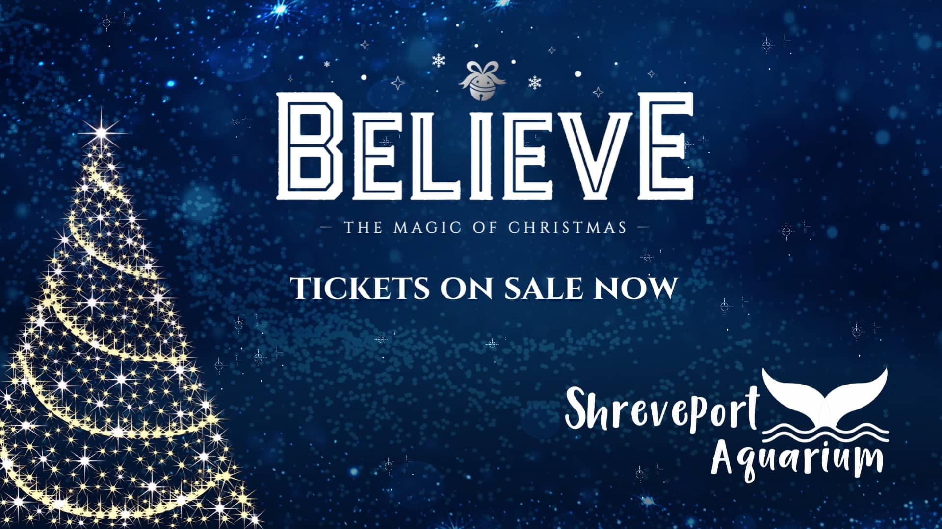 Boy lighting tree 22.MOV on Vimeo