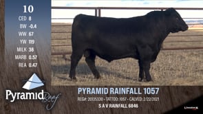Lot #10 - PYRAMID RAINFALL 1057