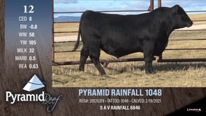 Lot #12 - PYRAMID RAINFALL 1048