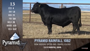 Lot #13 - PYRAMID RAINFALL 1062