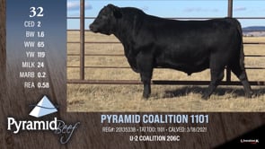 Lot #32 - PYRAMID COALITION 1101