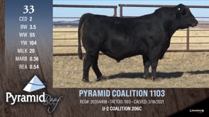 Lot #33 - PYRAMID COALITION 1103