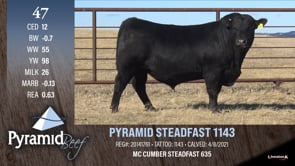 Lot #47 - PYRAMID STEADFAST 1143
