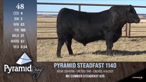 Lot #48 - PYRAMID STEADFAST 1140