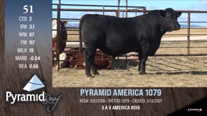 Lot #51 - PYRAMID AMERICA 1079