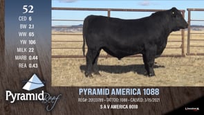 Lot #52 - PYRAMID AMERICA 1088