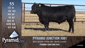Lot #55 - PYRAMID JUNCTION 1081