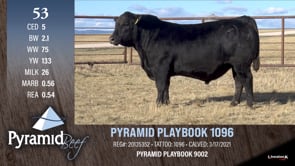 Lot #53 - PYRAMID PLAYBOOK 1096