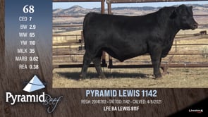 Lot #68 - PYRAMID LEWIS 1142