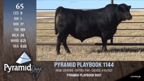 Lot #65 - PYRAMID PLAYBOOK 1144