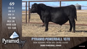 Lot #69 - PYRAMID POWERBALL 1070