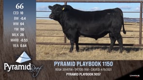 Lot #66 - PYRAMID PLAYBOOK 1150