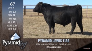 Lot #67 - PYRAMID LEWIS 1135