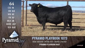 Lot #64 - PYRAMID PLAYBOOK 1073