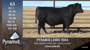 Lot #63 - PYRAMID LEWIS 1064