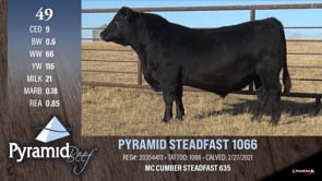Lot #49 - PYRAMID STEADFAST 1066