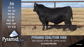 Lot #34 - PYRAMID COALITION 1089
