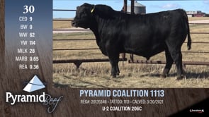 Lot #30 - PYRAMID COALITION 1113