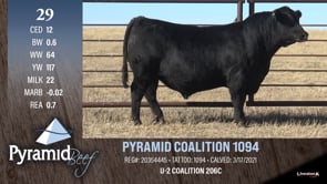 Lot #29 - PYRAMID COALITION 1094