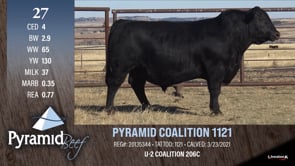 Lot #27 - PYRAMID COALITION 1121