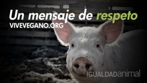 Vive Vegano. Un mensaje de respeto.