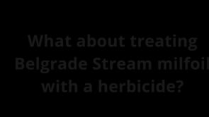 What about treating Belgrade Stream milfoil with a herbicide?