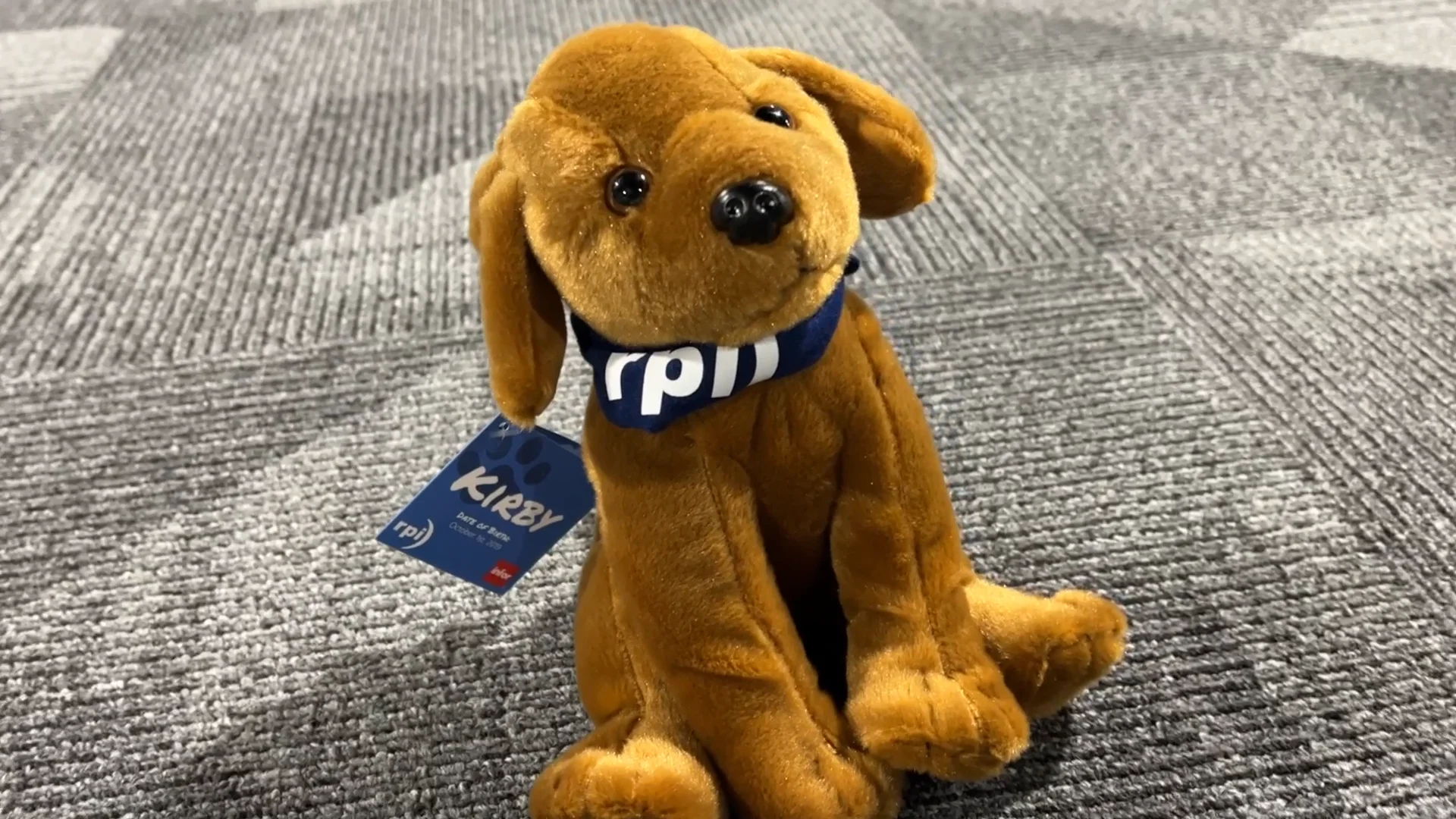 Evan Winebarger-Kirby the RPI Mascot.mp4 on Vimeo