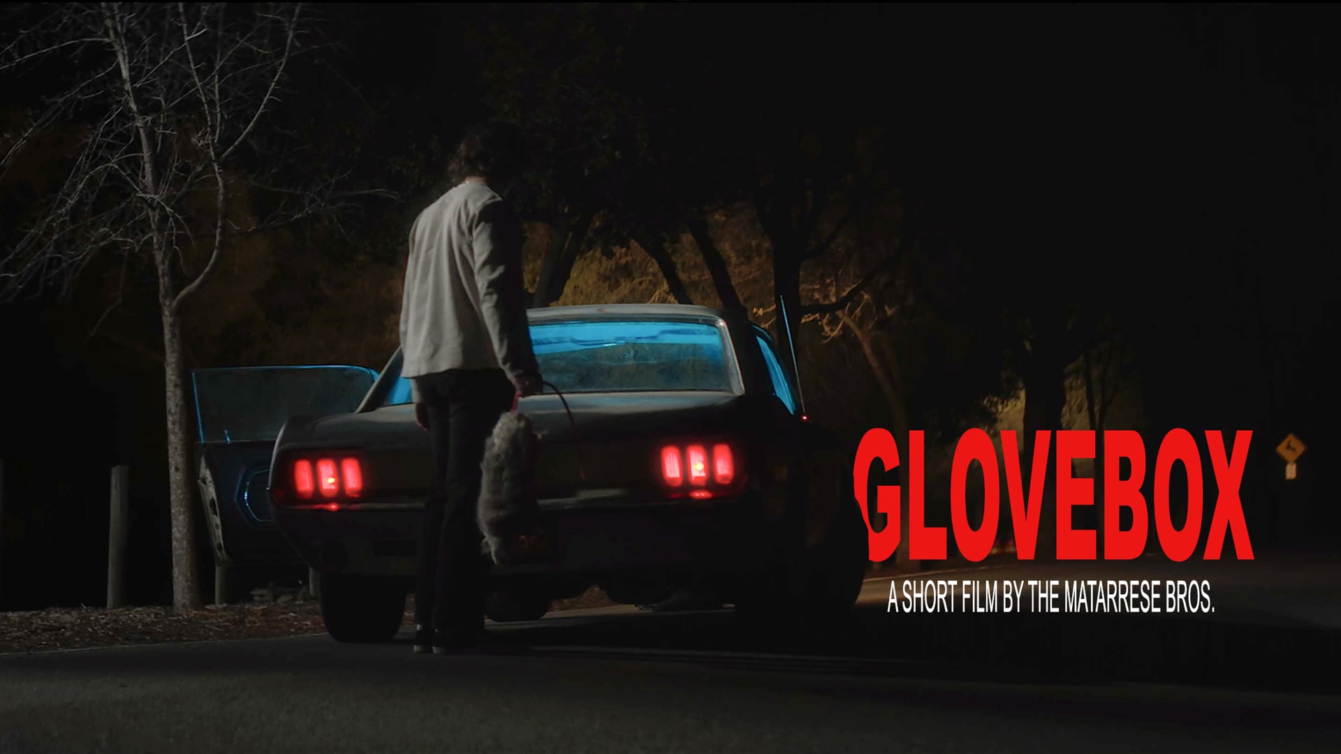 GloveBox Trailer