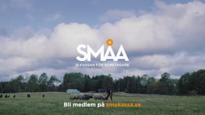 Småa 20s