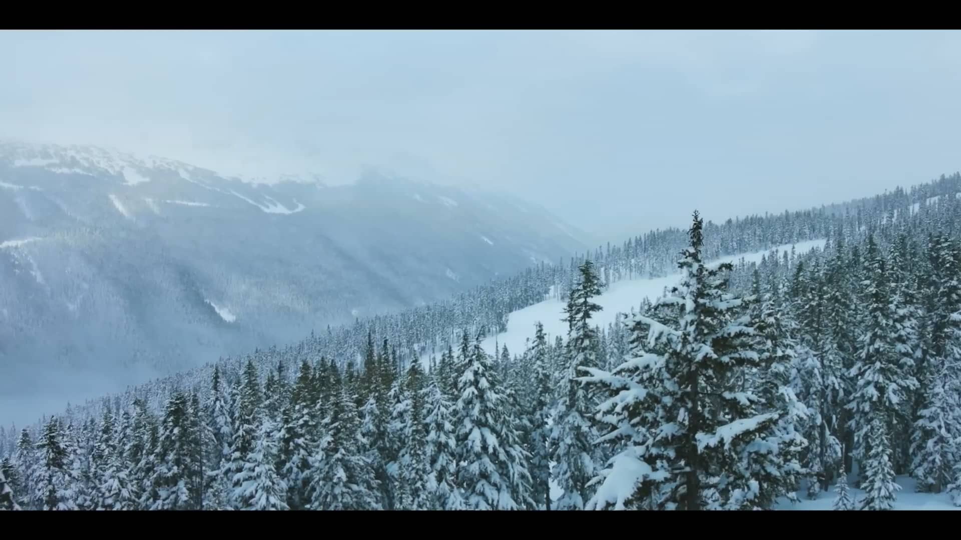 Amazon Lonely Yeti Black Friday on Vimeo