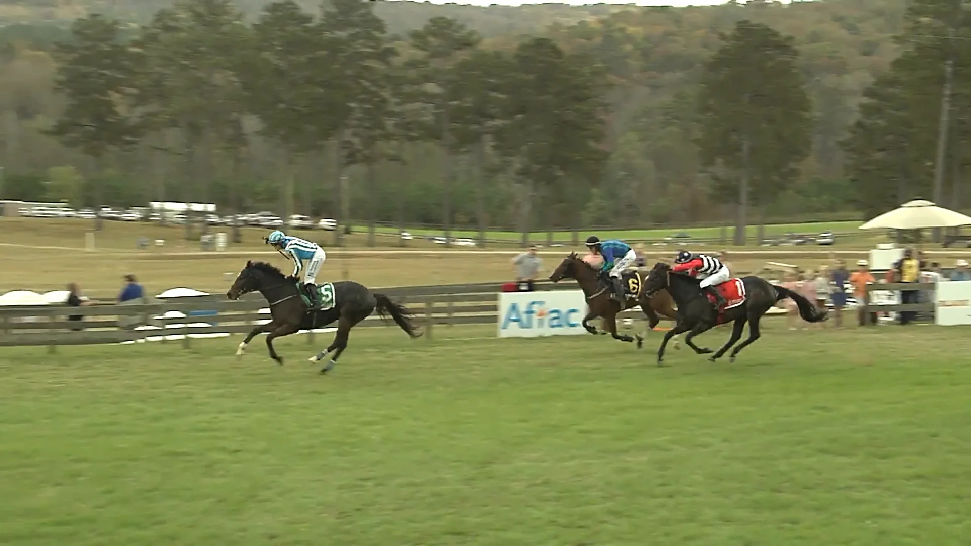 2022 Steeplechase at Callaway Gardens 110522 Callaway R 4 on Vimeo