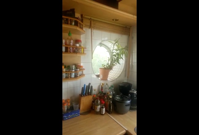 Video 1: View from the balcony